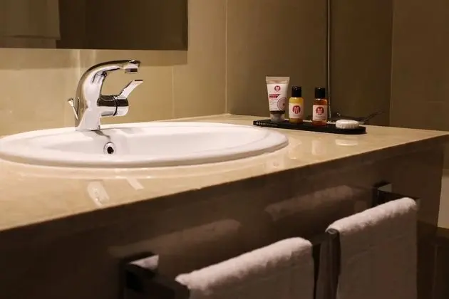 Premium Tek Büyük Yataklı Oda, Şehir Manzaralı