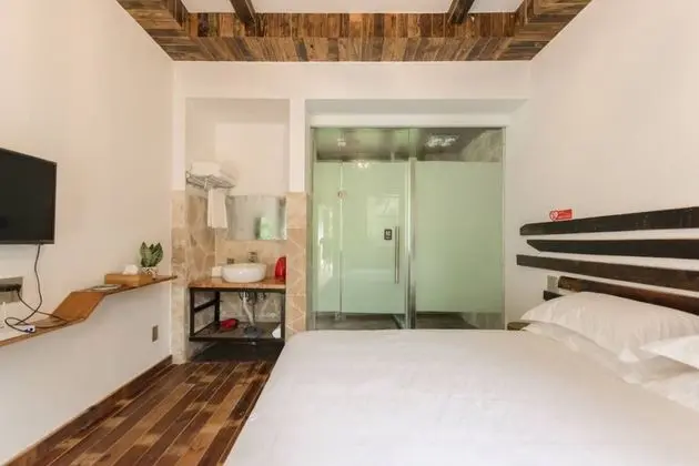 Superior Tek Büyük Yataklı Oda, Teras