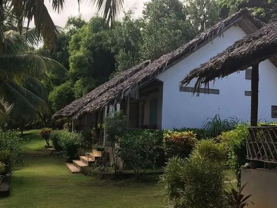 Standard Tek Büyük veya İki Ayrı Yataklı Oda, 1 Yatak Odası, Plaj Manzaralı, Denize Sıfır