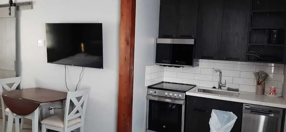 Deluxe Oda, 2 Çift Kişilik Yatak (with Kitchenette)