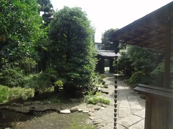 Odadan Manzara
