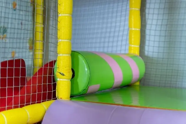 Kids Pool Dolphin 2