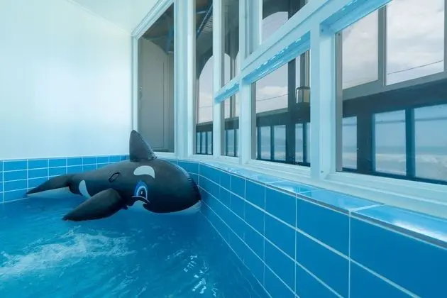 Kids Pool Dolphin 2