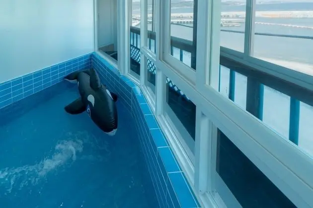Kids Pool Dolphin 2
