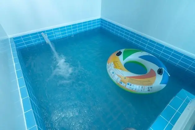 Kids Pool Dolphin Suite