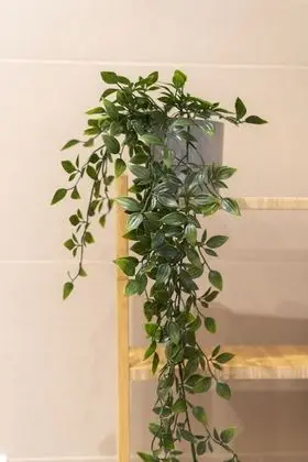 CALM Apartment near Centre