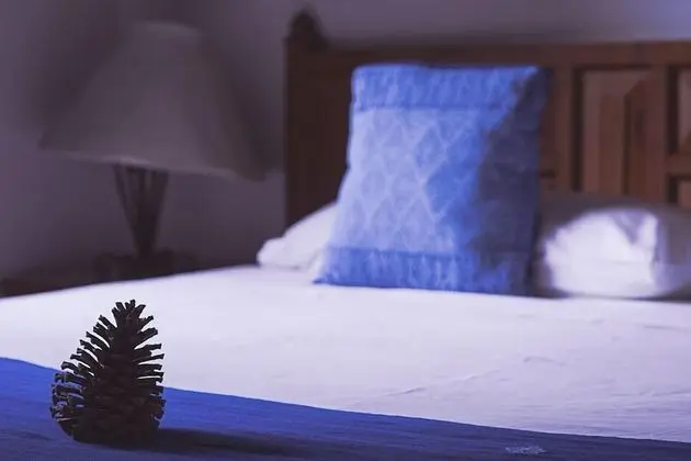 Deluxe Oda, 1 En Büyük (King) Boy Yatak, Şehir Manzaralı