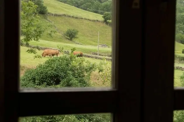 Apart Daire, Özel Banyo