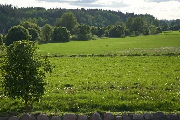 Dubleks