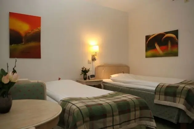 Economy Tek Kişilik Oda (Single room with extra bed)
