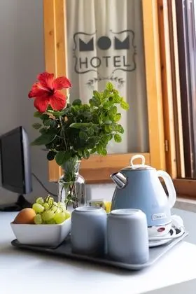 Comfort Oda, 1 Yatak Odası, Banyolu/Duşlu