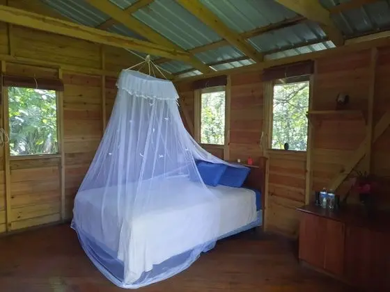 Deluxe Kulübe, Birden Çok Yatak, Park Manzaralı