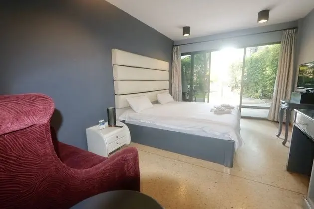 Standard Oda, 1 En Büyük (King) Boy Yatak, Bahçe Manzaralı, Zemin Kat