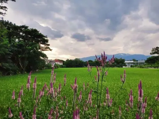 Panoramic Dubleks, 2 Yatak Odası