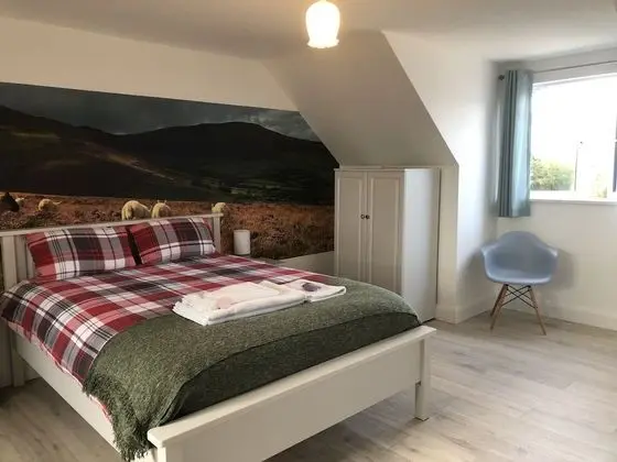 Deluxe Tek Büyük Yataklı Oda