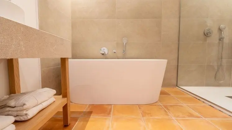 Deluxe Süit (Spa access)