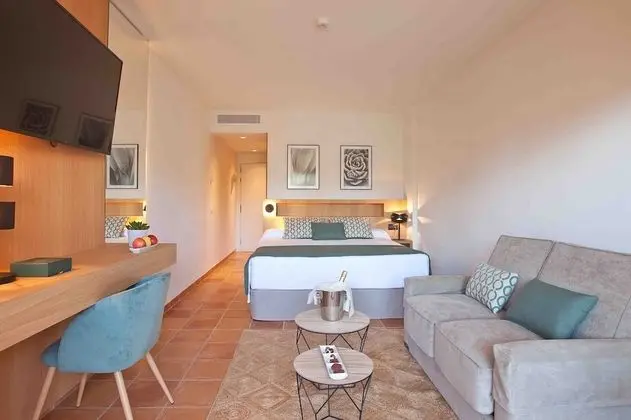 Premium Tek Büyük Yataklı Oda (Spa access)