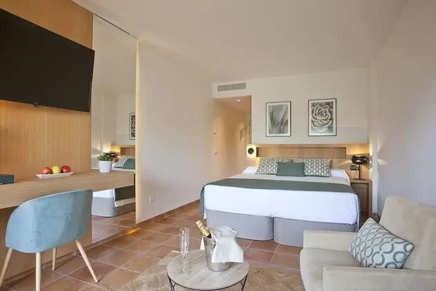 Premium Tek Büyük Yataklı Oda (Spa access)