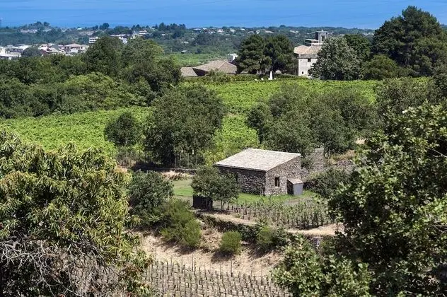 Villa, Kişiye Özel Havuzlu, Ek Bina