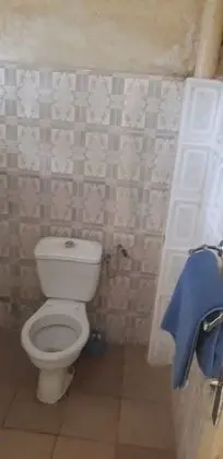 Standard Oda