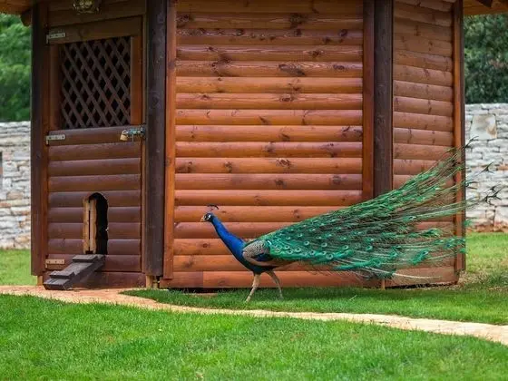 Villa (Villa Monaco - Four-Bedroom Villa)