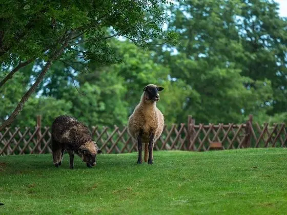 Villa (Villa Monaco - Four-Bedroom Villa)