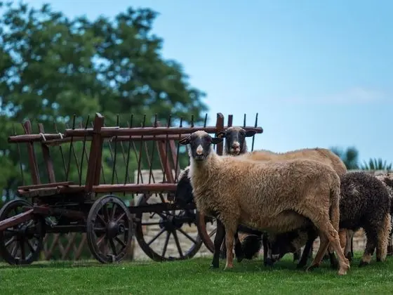 Villa (Villa Monaco - Four-Bedroom Villa)