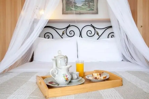 Villa, Engellilere Uygun