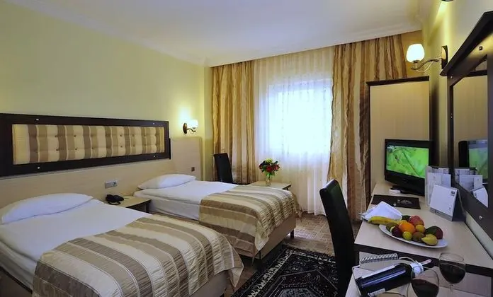 Comfort Oda, Park Manzaralı