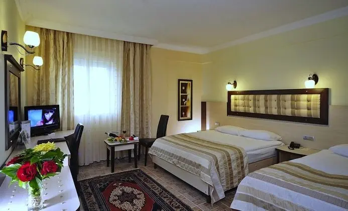 Comfort Oda, Park Manzaralı