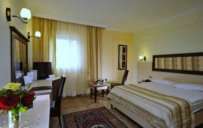 Comfort Oda, Park Manzaralı