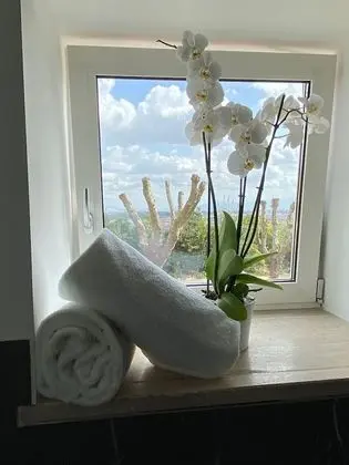 Deluxe Süit, 1 En Büyük (King) Boy Yatak, Sigara İçilmez, Şehir Manzaralı