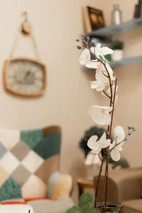 Apart Daire, 2 Yatak Odası, Balkon