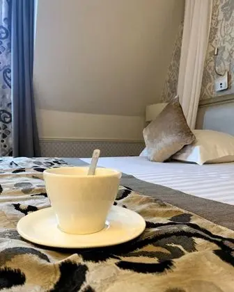 Superior Tek Büyük Yataklı Oda