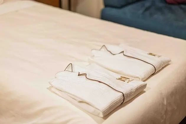 Deluxe İki Ayrı Yataklı Oda, Sigara İçilmez