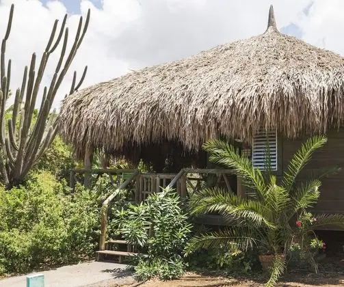 Comfort Bungalov, 1 Yatak Odası
