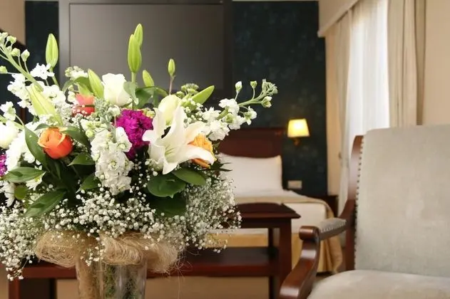 Suite, Şehir Manzaralı