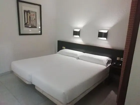Tek Büyük Yataklı Oda, Balkon, Dağ Manzaralı (Vistas Montjüic)