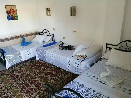 Üç Kişilik Oda, Havuz Manzaralı