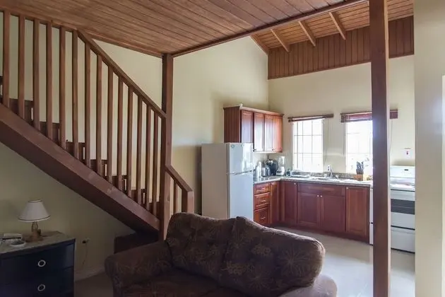 Basic Çatı Katı (Loft)