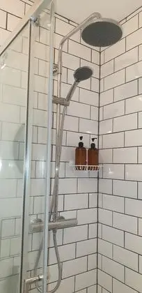 Comfort Tek Büyük Yataklı Oda, Banyolu/Duşlu (Willow room)