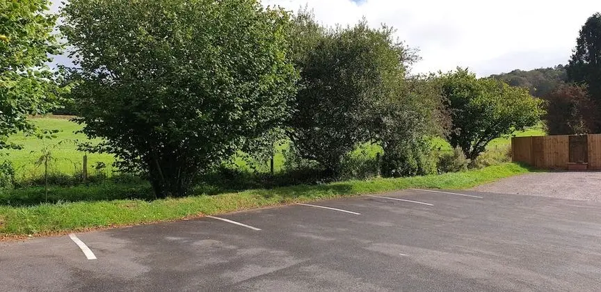 Comfort Tek Büyük Yataklı Oda, Banyolu/Duşlu (Willow room)