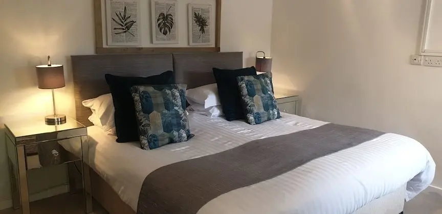 Superior Tek Büyük Yataklı Oda, Banyolu/Duşlu, Avlu Manzaralı (Courtyard room)