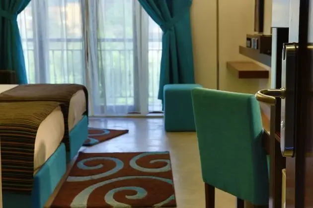 Executive Tek Büyük Yataklı Oda