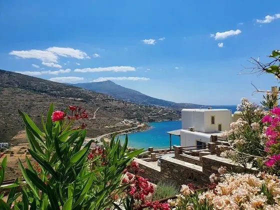 Executive Villa