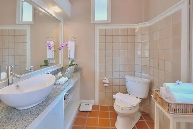 Premier King Courtyard Suite