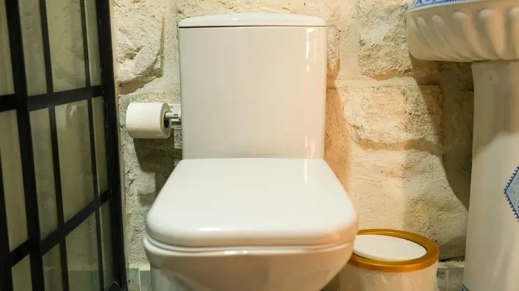 Harmel Odası: Taş Duvar İşçiliğiyle Tasarlanmış, Hijyen Standartlarına Uygun Temiz Banyo Alanı.