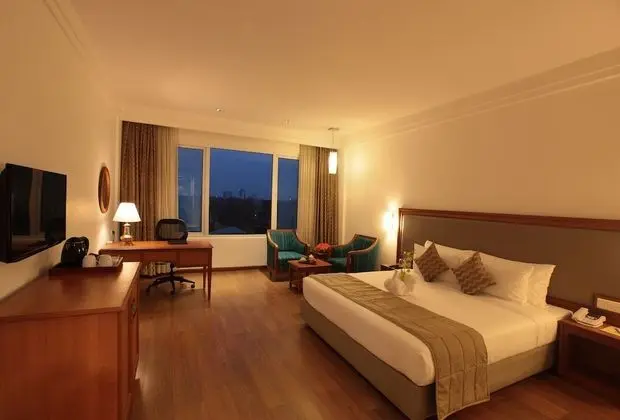 Premium Tek Büyük Yataklı Oda