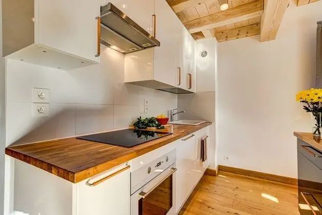 Çatı Katı (Loft), Banyolu/Duşlu, Dağ Manzaralı (Penthouse)