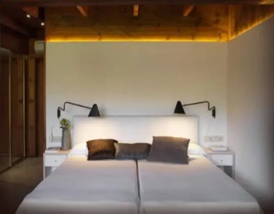 Superior Tek Büyük Yataklı Oda, Teras (Cabaña)